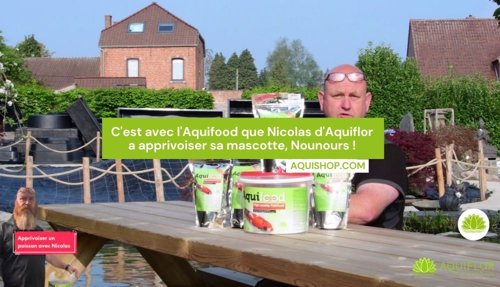 🌿 L'Amour au Premier Regard : L'Aventure de Nounours et la Naissance d'Aquifood pour votre bassin 🐟💧