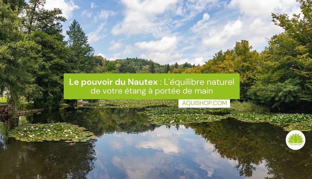 Le Pouvoir du NAUTEX : L'Équilibre Naturel de Votre Étang à Portée de Main