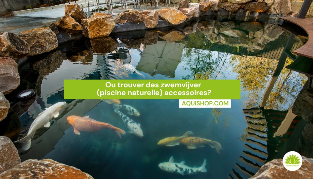 Ou trouver des zwemvijver (piscine naturelle) accessoires?