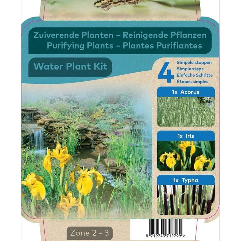 Aquipond Plantes aquatiques Plantes purifiantes Acorus-Iris-Typha - En kit tout-en-un - Pot de 18CM 8719743712799 20990