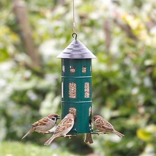 Wildlife Garden Mangeoires pour oiseaux MANGEOIRE COMBI GRAINES VERTES 7350054762724 WG338