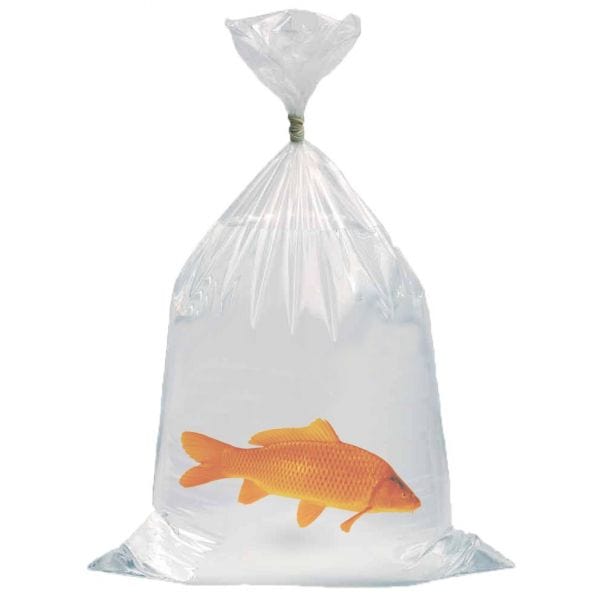 Aquaforte PVC Sac poisson 50 x 120cm (100 pièces) 8717605097763 SF329