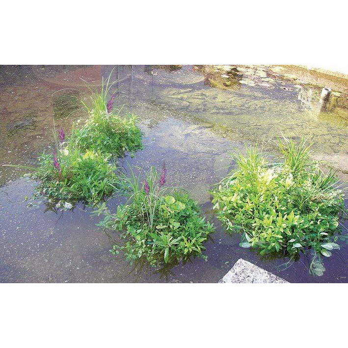 Aquigarden Accessoires pour plantes Île flottante pour plantes aquatiques en triangle 111 X 111 X 153CM 8717605078939 SG384