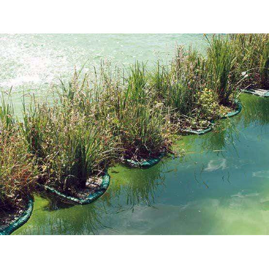 Aquigarden Accessoires pour plantes Île flottante pour plantes aquatiques rectangle 121CM X 85CM 8717605078953 SG386