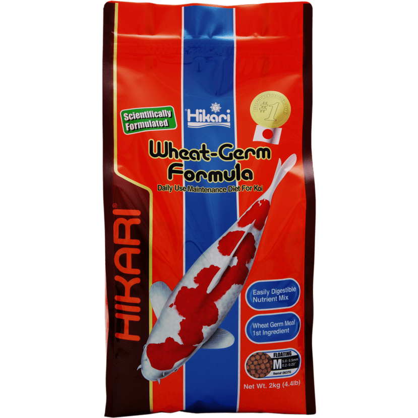 Hikari Nourriture Hikari Wheat-Germ - Medium 2kg - Facile à digérer, même en hiver ! 042055063708 03020190