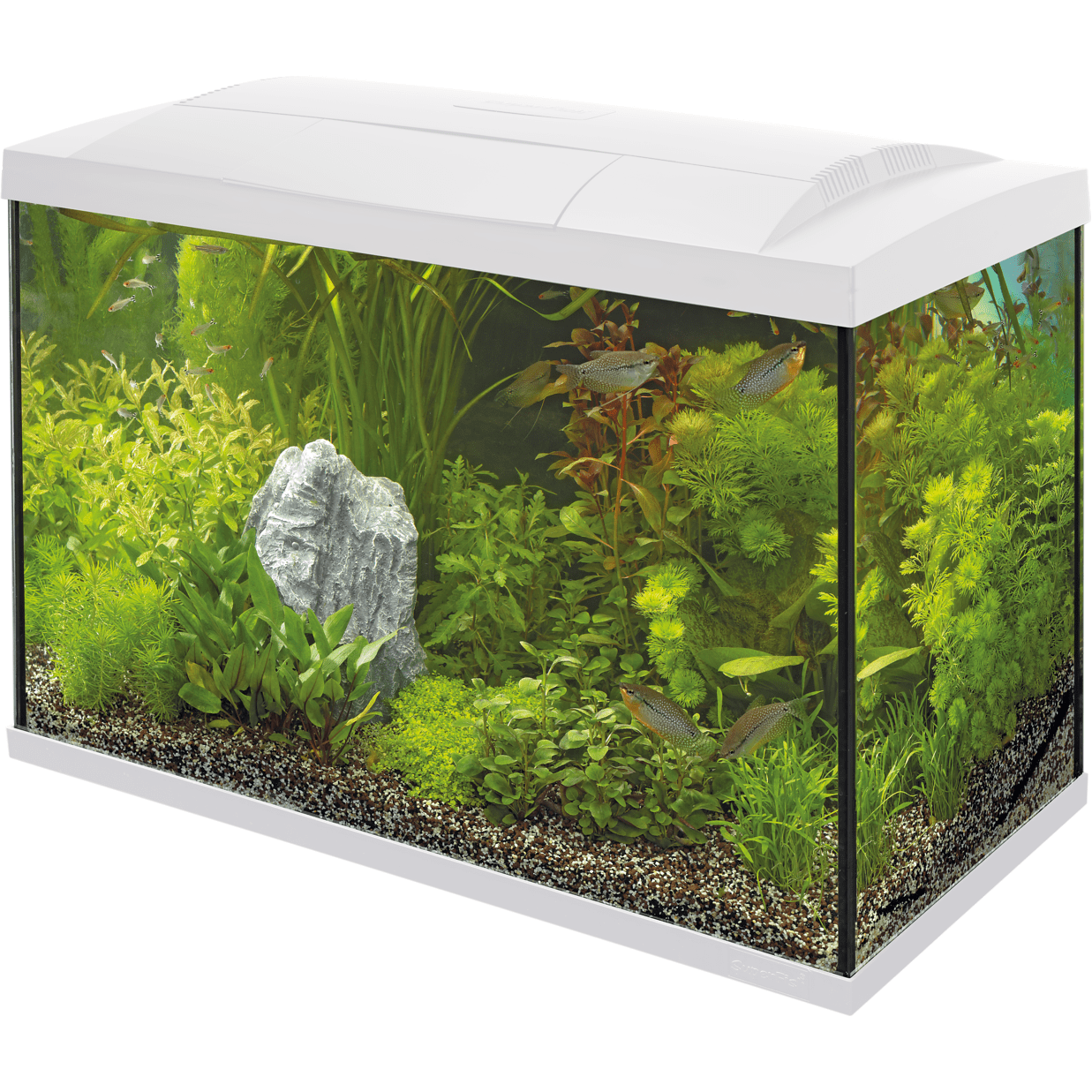 Superfish Aquariums Aquarium Start 70 Tropical Kit Blanc - 60L - Superfish 8715897165924 A4050287