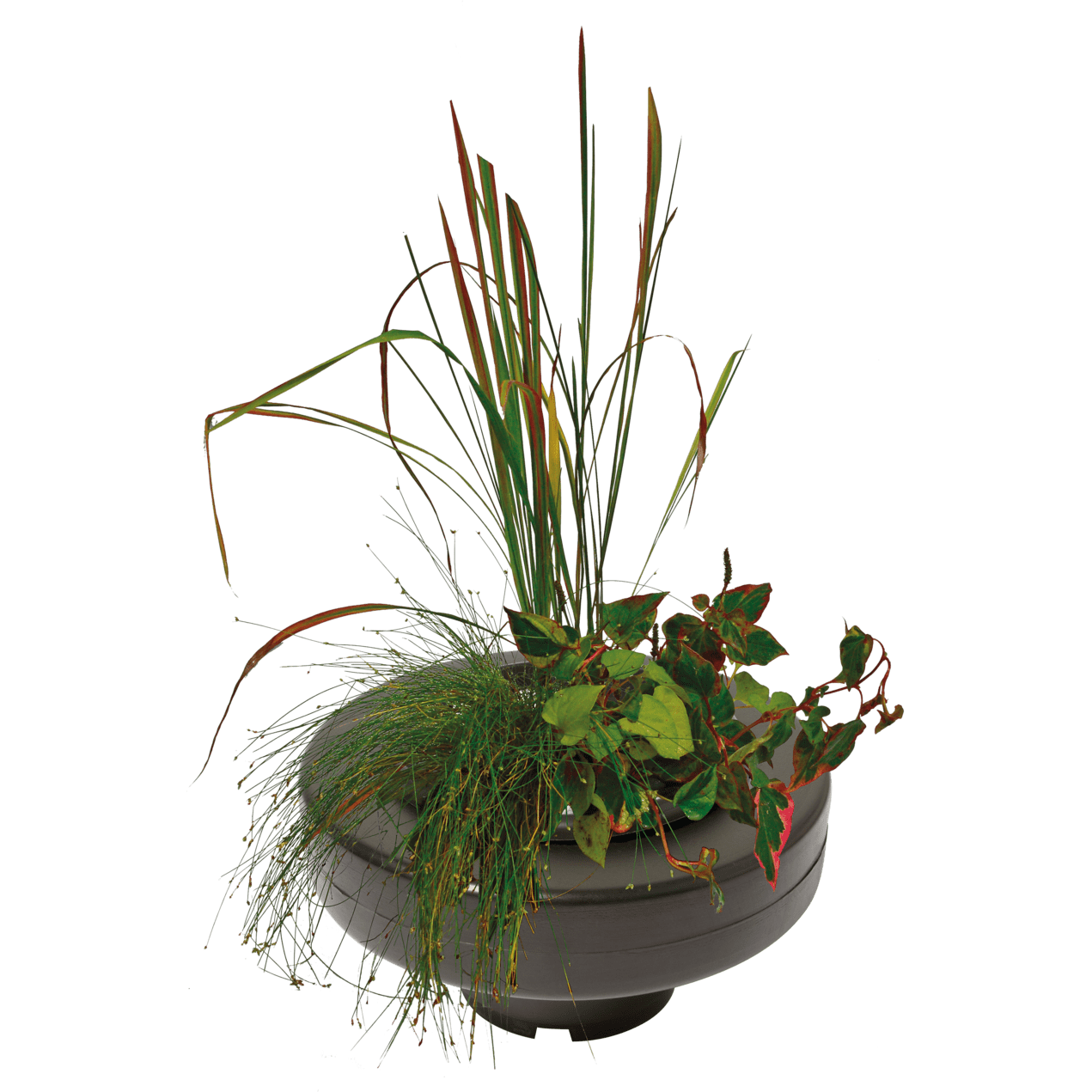 Superfish Plantes Panier de plantation flottant rond de Ø22CM - Superfish 8715897244537 06090260