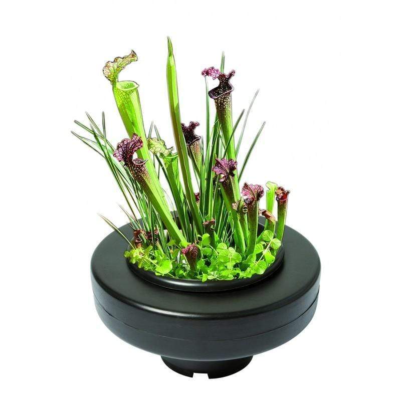 Superfish Plantes Panier plante flottant de 22CM - Superfish pour plantes de bassin - Ø 22CM 8715897244537 6090260