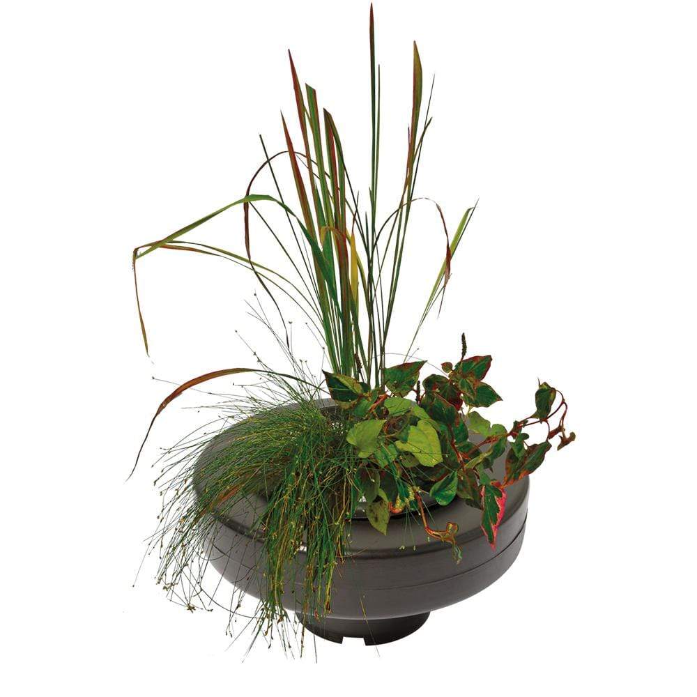 Superfish Plantes Panier plante flottant de 30CM - Superfish pour plantes de bassin - Ø 30CM 8715897262869 6090267